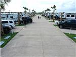 Rows of RVs parked in paved sites at THE PALAPA RV BEACH RESORT - thumbnail