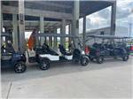 Golf carts parked under a wooden deck at THE PALAPA RV BEACH RESORT - thumbnail
