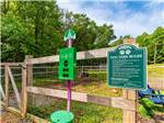 The dog park - thumbnail