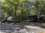 A trailer and Motorhome parked in RV sites at RUSTIC RIDGE - thumbnail