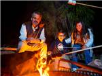 A family roasting marshmallows - thumbnail