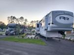 A fifth wheel parked in a paved site at SANTA FE PALMS RV RESORT - thumbnail