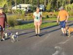 Two men and a lady walking their dogs at SANTA FE PALMS RV RESORT - thumbnail