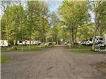 RV sites among shade trees - thumbnail