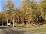RV sites near trees with fall leaves - thumbnail