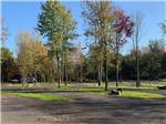 A view of RV sites and trees - thumbnail
