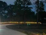 A lighted, paved drive to the RV sites at STARRVILLE RV RESORT - thumbnail