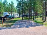 A gravel RV site at PINE HAVEN VENUE & LODGING - thumbnail