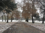 Road through snowy RV park at Shady Lane RV Park - thumbnail