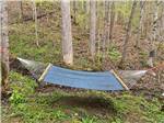 A hammock hanging in the middle of the forest at HEAVENLY HILLS NATURE RETREAT - thumbnail