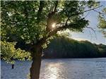 The sun shining through the sun by the river at HEAVENLY HILLS NATURE RETREAT - thumbnail