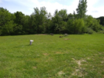 Grass site with picnic table at Powell's Creekside Haven - thumbnail