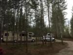 Campsites in the trees - thumbnail