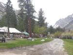 Road into campground with trees and buildings at Glacier Lodge - thumbnail