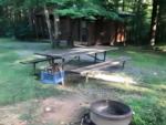 Picnic table and fire ring at Ray's Campground - thumbnail