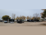 RVs lined up in gravel sites at Falcon's Landing RV Park - thumbnail