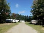 Parked travel trailers at The Woodlands Acres Campground - thumbnail