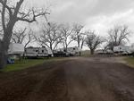 Sites with trees at Pecan Grove RV Park - Kenedy - thumbnail