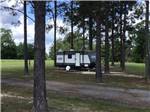 Trailer under the trees at 341 RV Park - thumbnail