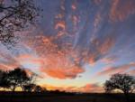 The pink clouds over the campground at FLYING HORSE RV PARK - thumbnail