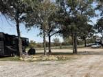 The gravel road going thru the campground at FLYING HORSE RV PARK - thumbnail