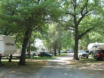 Sites by trees at The Texas Rose RV Park - thumbnail