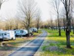View of campground site at Forest Haven Campground - thumbnail