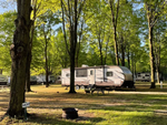 Shady sites at Forest Haven Campground - thumbnail