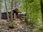 Cabins in the woods and stream at Roamstead - thumbnail