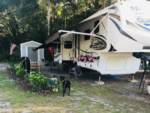 Trailer in grass site at Manatee Springs RV Park - thumbnail