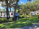 RVs parked in shady sites at Manatee Springs RV Park - thumbnail