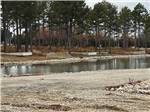 RV sites next to the water at MIDWAY RV PARK AND CABIN RENTALS - thumbnail
