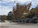 A row of rental cabins at Midway RV Park and Cabin Rentals - thumbnail