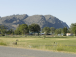 View of mountains at Margie's Riverside RV Park - thumbnail