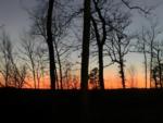 Trees with sun setting at Rollin Oaks Park - thumbnail