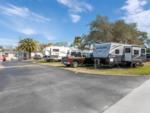 RVs lined up at Tropic Breeze RV Park - thumbnail
