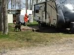 Man and dog at Shady Shores RV Resort & Campground - thumbnail