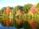 Lake with fall trees at site Thornton's Rafting Resort and Campground - thumbnail