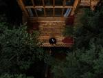 Woman on balcony looking up at trees - thumbnail