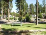 Panic area at Crescent RV Park - thumbnail