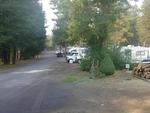 Parked RV's at site Crescent RV Park - thumbnail