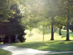Grass area with trees at site Valley View RV Resort - thumbnail