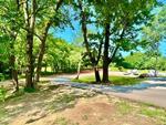 Site by trees at Hidden Creek Campground - thumbnail