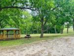 Gazebo, picnic table and grill at RIVERSHIRE RV RESORT & CAMPING - thumbnail