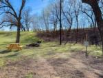 Grass site with picnic table, grill and fire pit at RIVERSHIRE RV RESORT & CAMPING - thumbnail