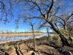 Trees line the riverbank at RIVERSHIRE RV RESORT & CAMPING - thumbnail