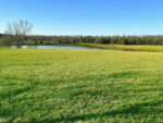 Open field at The Wright Spot Mountain Top Resor - thumbnail