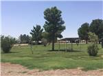 Covered park bench at Mountain Meadows RV Park - thumbnail