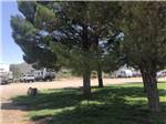 More shaded areas at Mountain Meadows RV Park - thumbnail