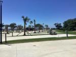 New resort with large palm trees at GULFPORT LUXURY RV RESORT - thumbnail